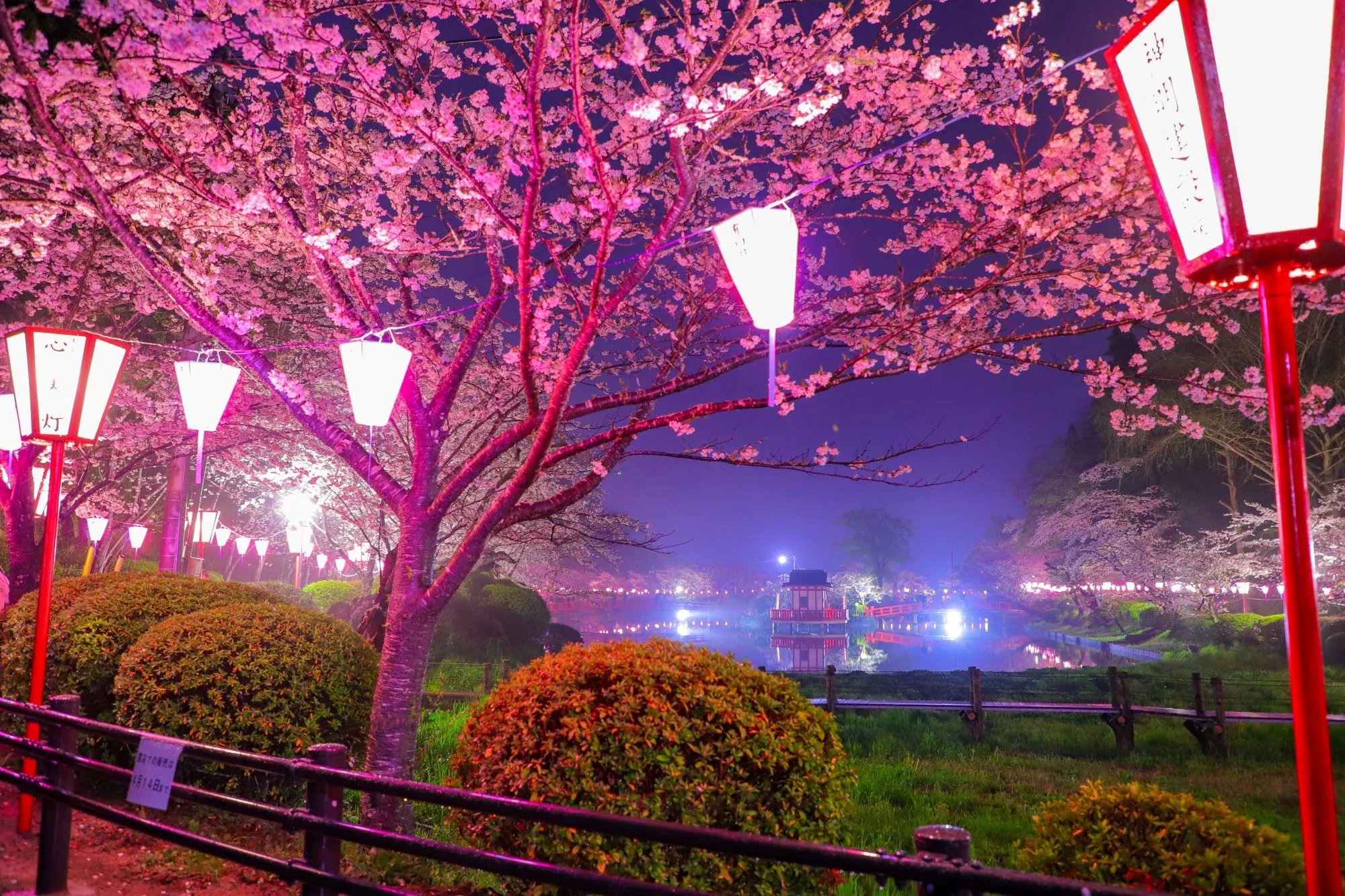 🌸 모바라 공원 (모바라코엔) 이미지 9